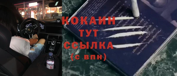 соль курить ск Дмитровск